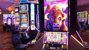 337bet